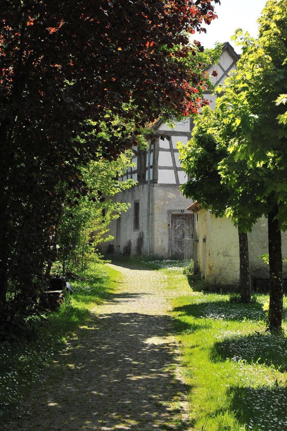 Tagungshaus Kloster Heiligkreuztal Hotel Altheim  Buitenkant foto