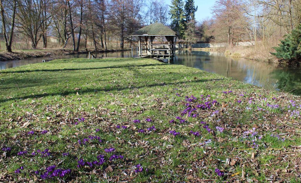 Tagungshaus Kloster Heiligkreuztal Altheim  Buitenkant foto